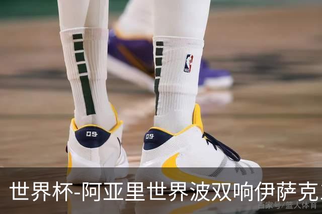 世界杯-阿亚里世界波双响伊萨克1射2传 瑞典5-1突尼斯
